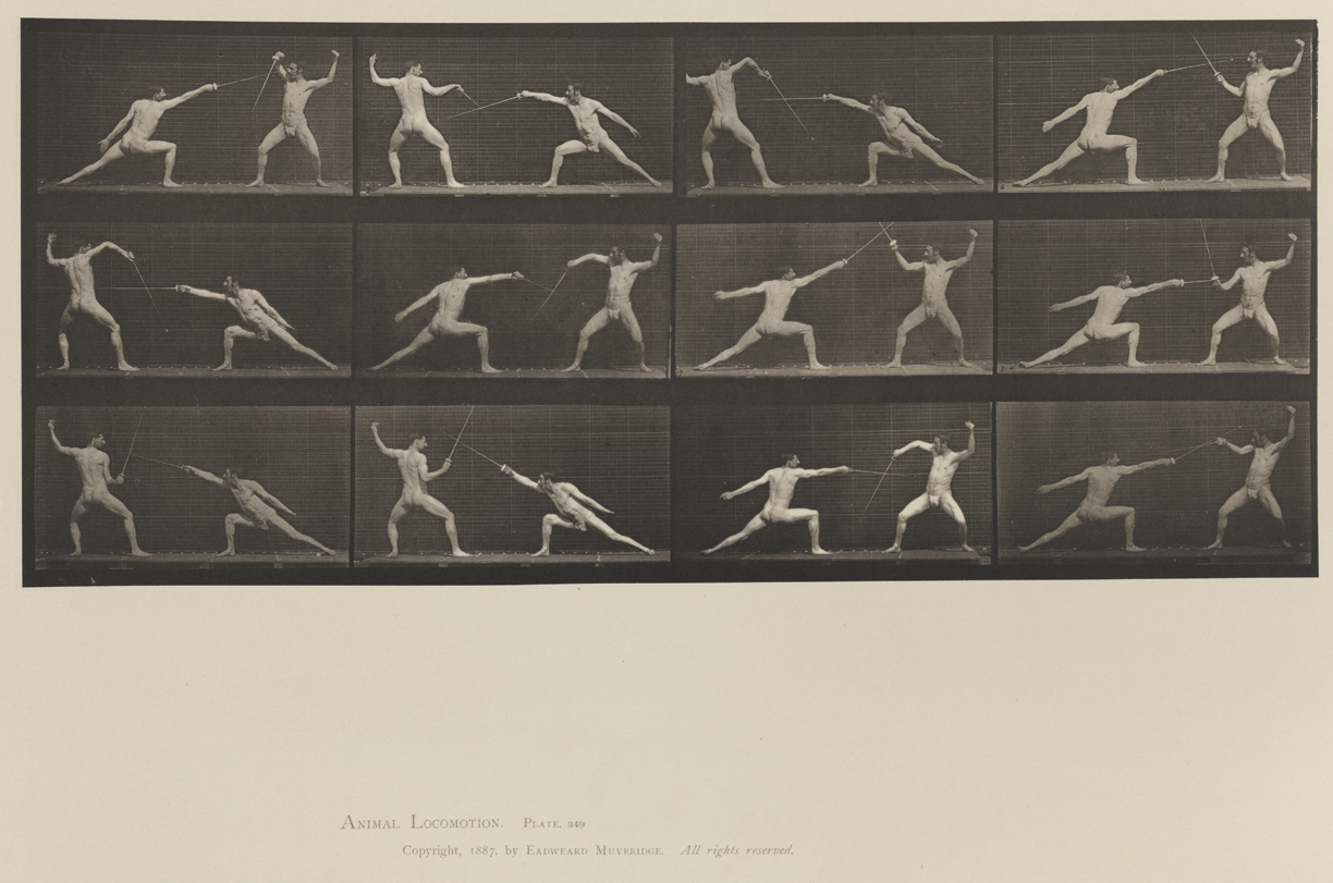 Animal Locomotion, Volume XII, Miscellaneous. Plate 349
