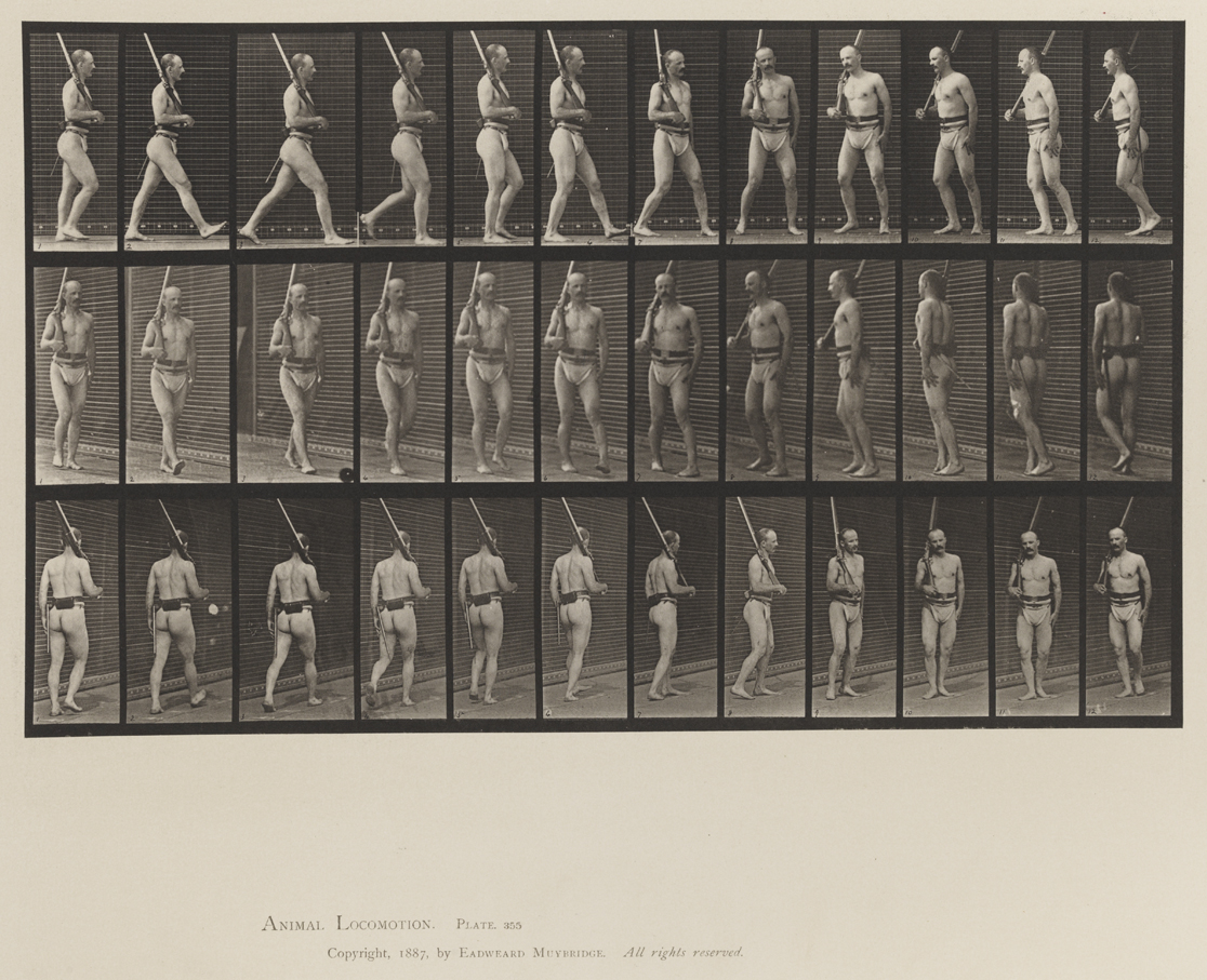 Animal Locomotion, Volume XII, Miscellaneous. Plate 355