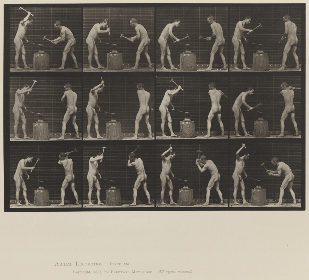 Animal Locomotion, Volume XII, Miscellaneous. Plate 374