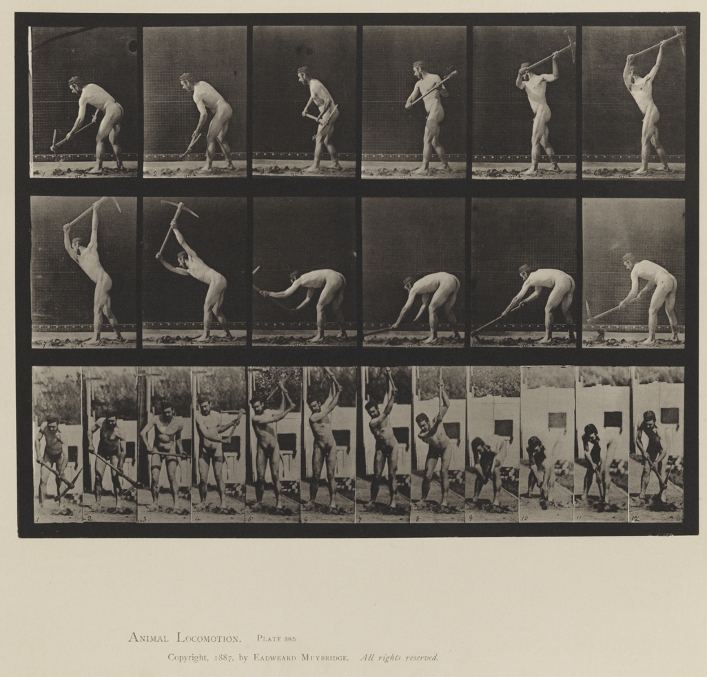 Animal Locomotion, Volume XII, Miscellaneous. Plate 385