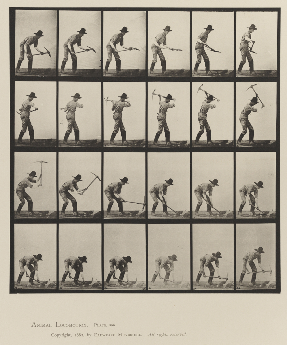 Animal Locomotion, Volume XII, Miscellaneous. Plate 386