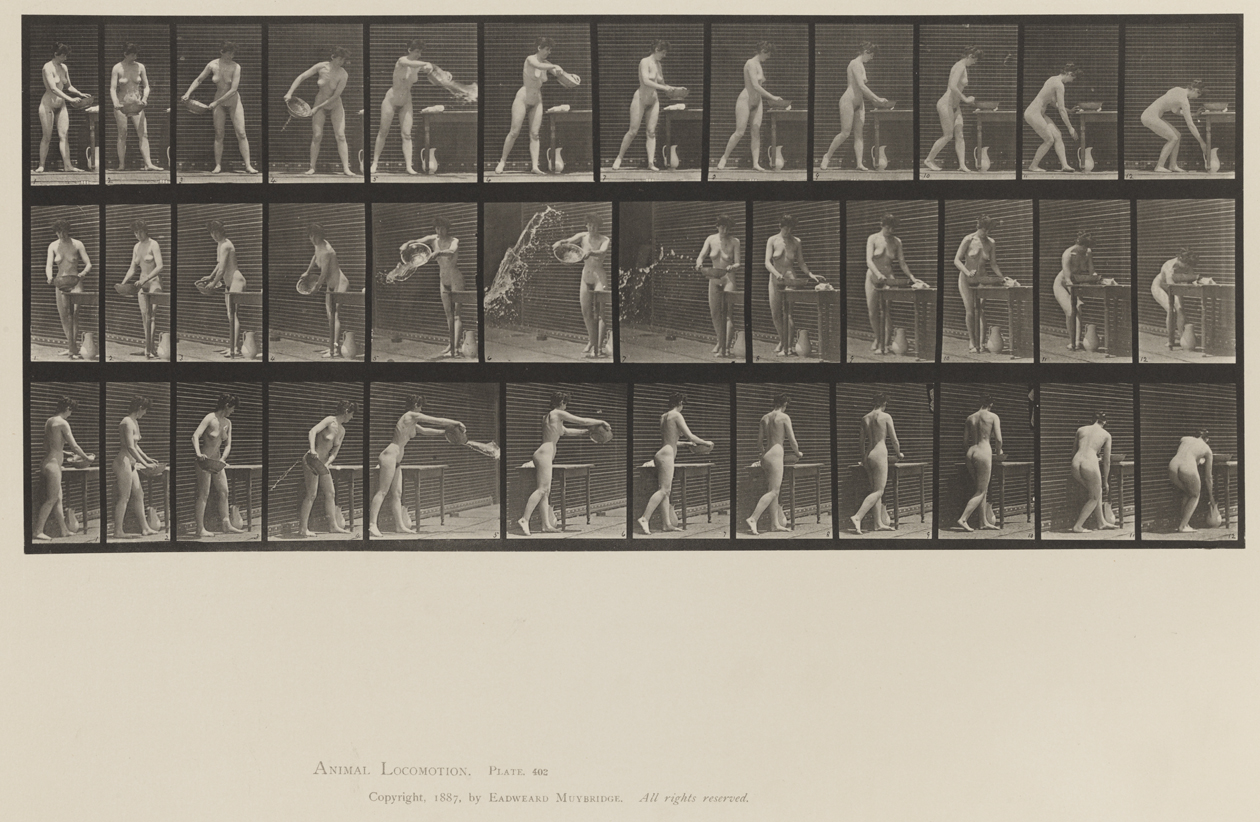 Animal Locomotion, Volume XII, Miscellaneous. Plate 402