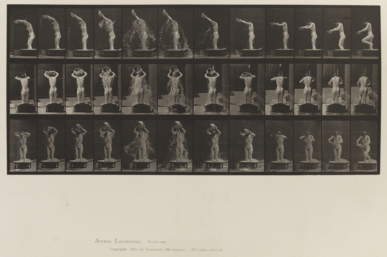 Animal Locomotion, Volume XII, Miscellaneous. Plate 409