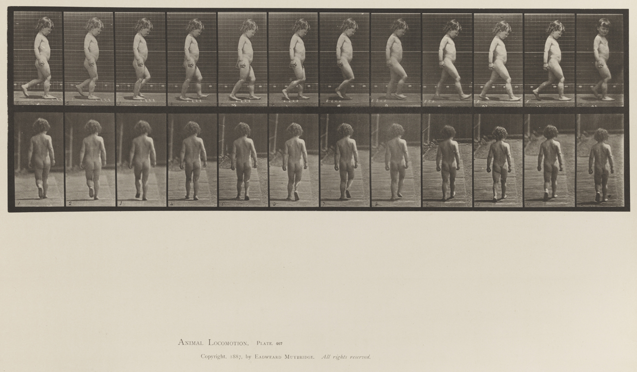 Animal Locomotion, Volume XII, Miscellaneous. Plate 467