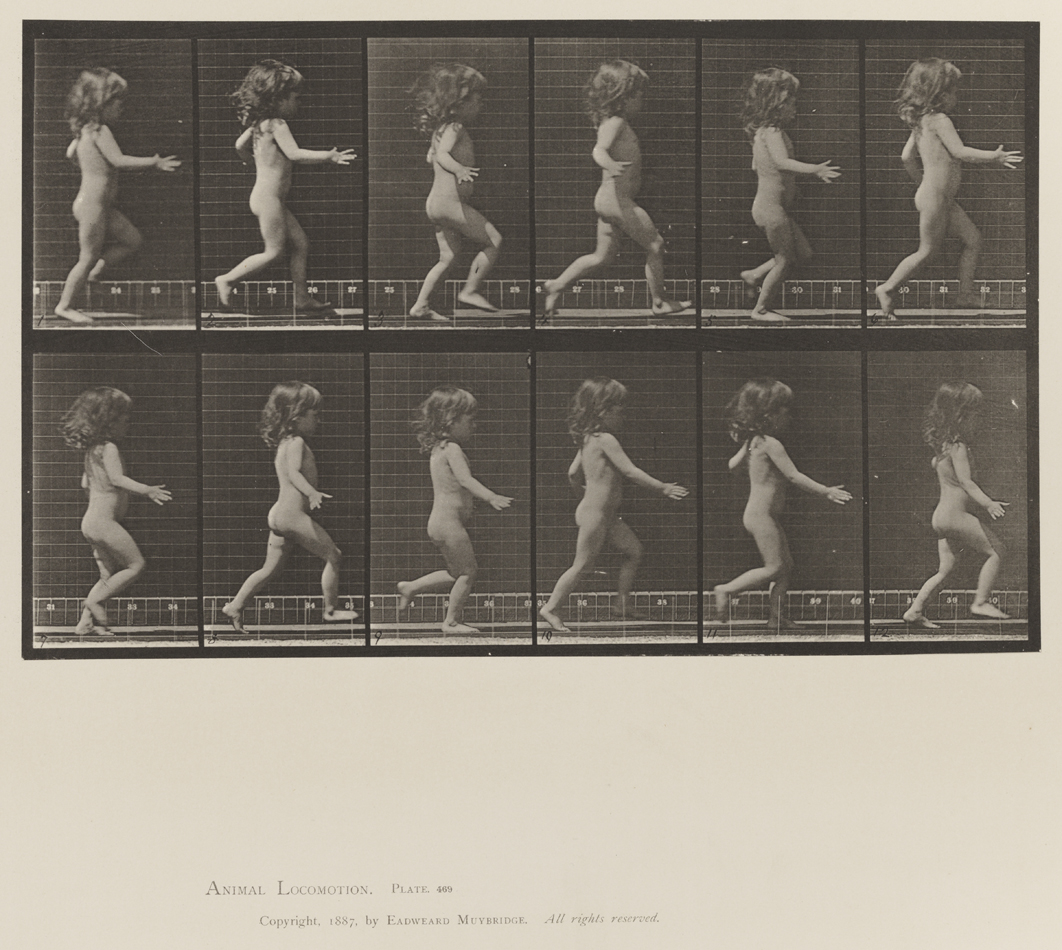 Animal Locomotion, Volume XII, Miscellaneous. Plate 469
