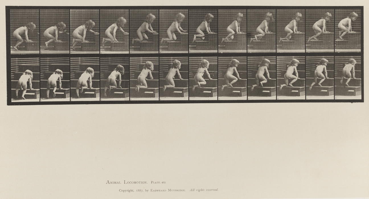 Animal Locomotion, Volume XII, Miscellaneous. Plate 472