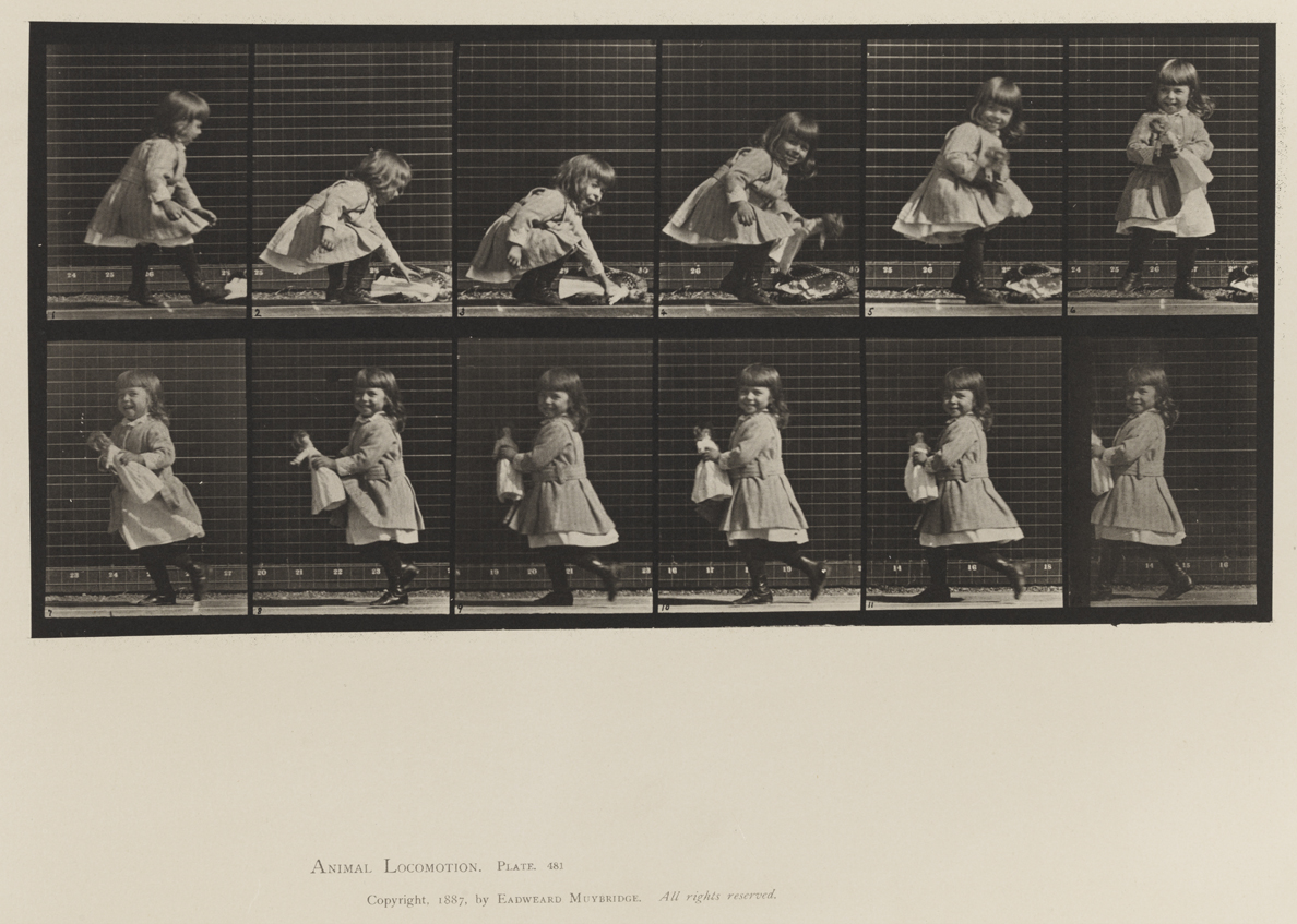Animal Locomotion, Volume XII, Miscellaneous. Plate 481