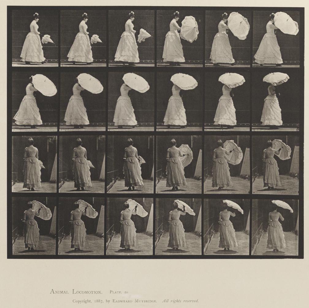 Animal Locomotion, Volume XII, Miscellaneous. Plate 38