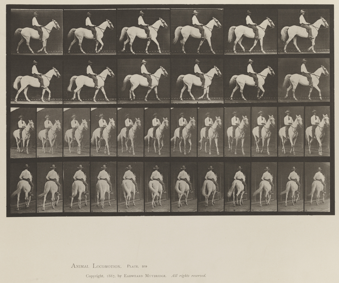 Animal Locomotion, Volume XII, Miscellaneous. Plate 579