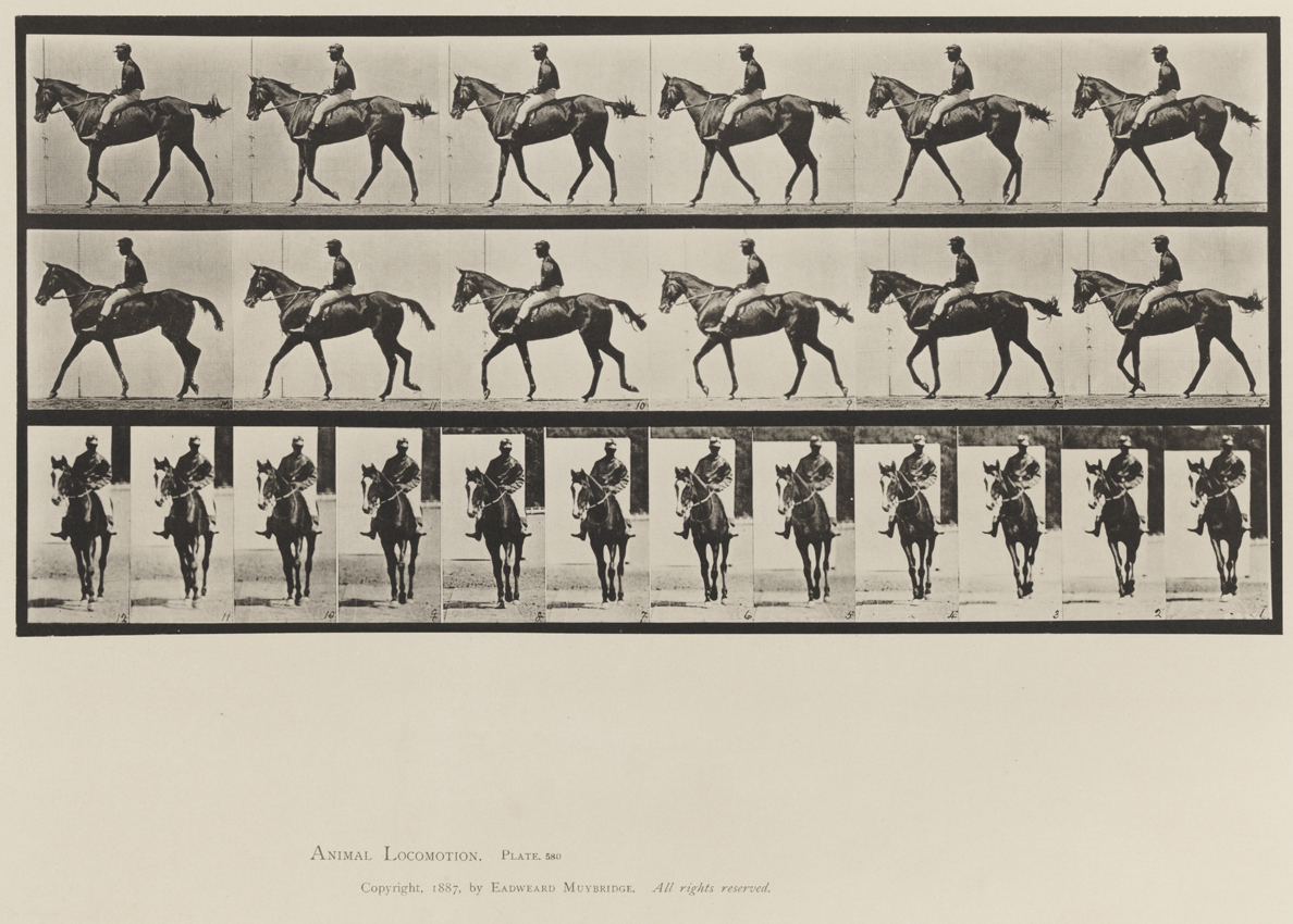 Animal Locomotion, Volume XII, Miscellaneous. Plate 580