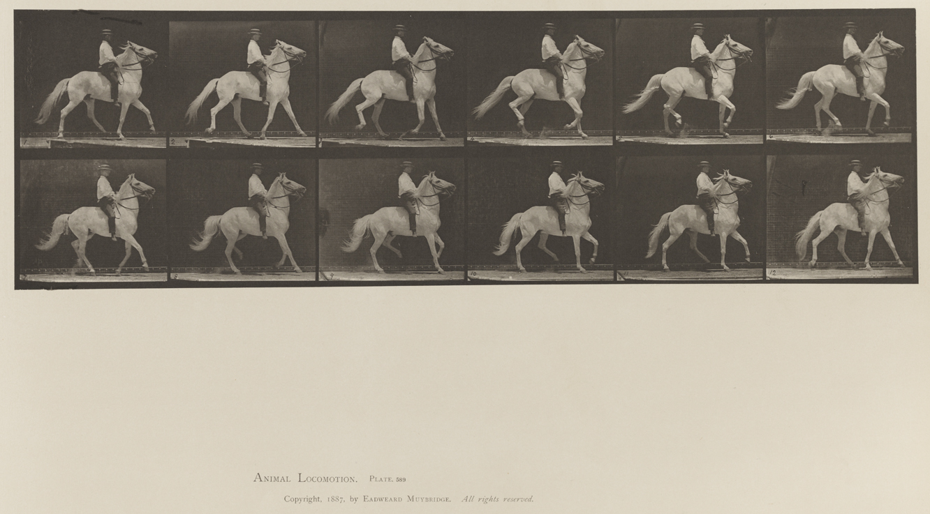 Animal Locomotion, Volume XII, Miscellaneous. Plate 589