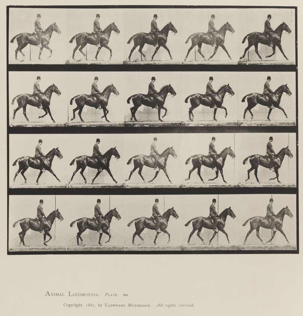 Animal Locomotion, Volume XII, Miscellaneous. Plate 598