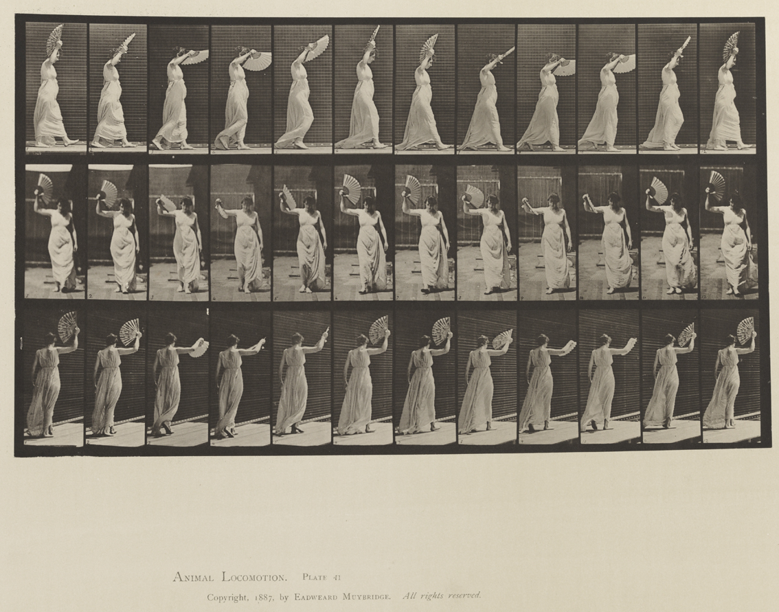 Animal Locomotion, Volume XII, Miscellaneous. Plate 41
