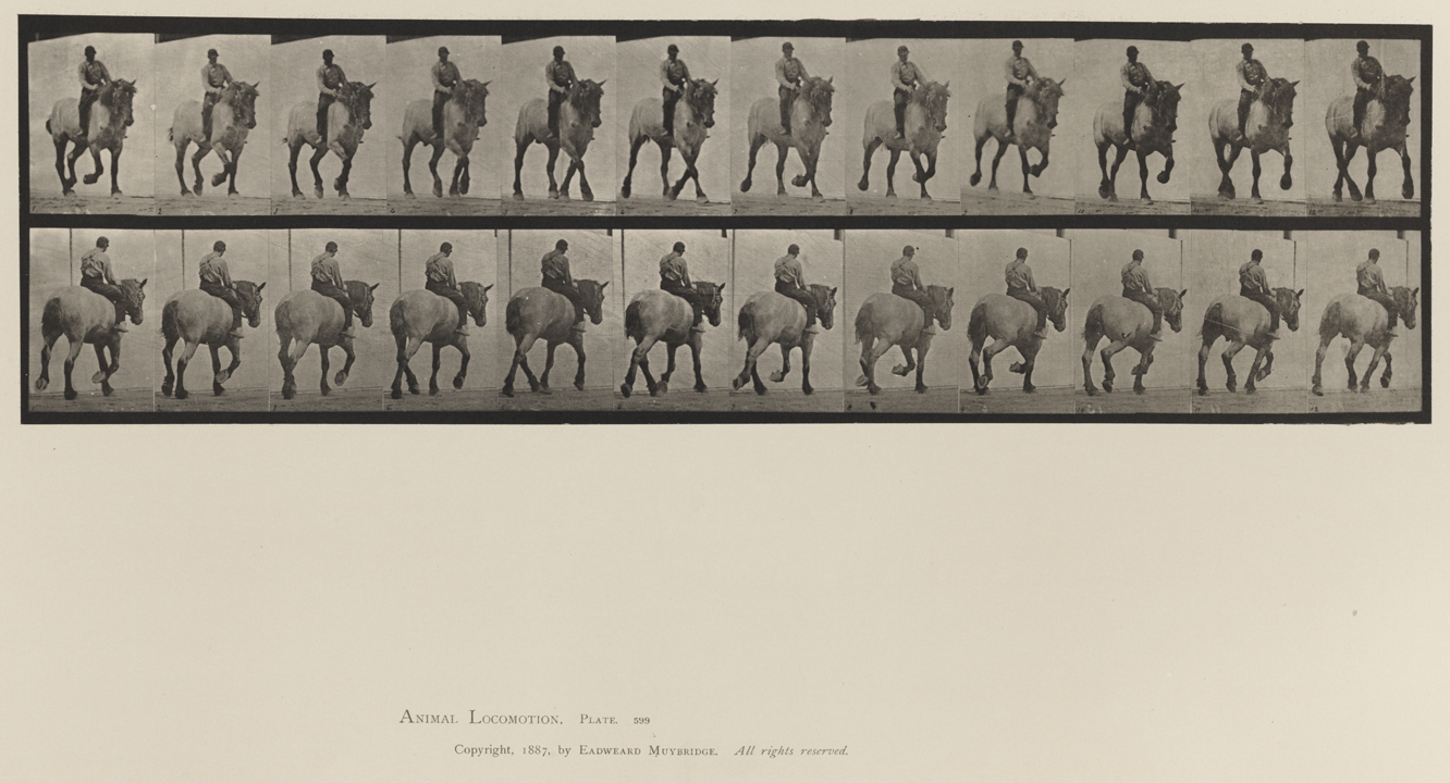 Animal Locomotion, Volume XII, Miscellaneous. Plate 599