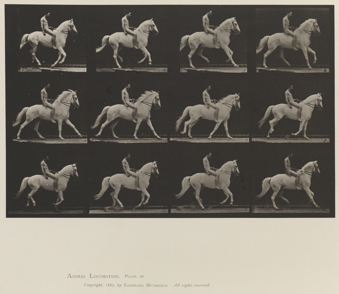 Animal Locomotion, Volume XII, Miscellaneous. Plate 617