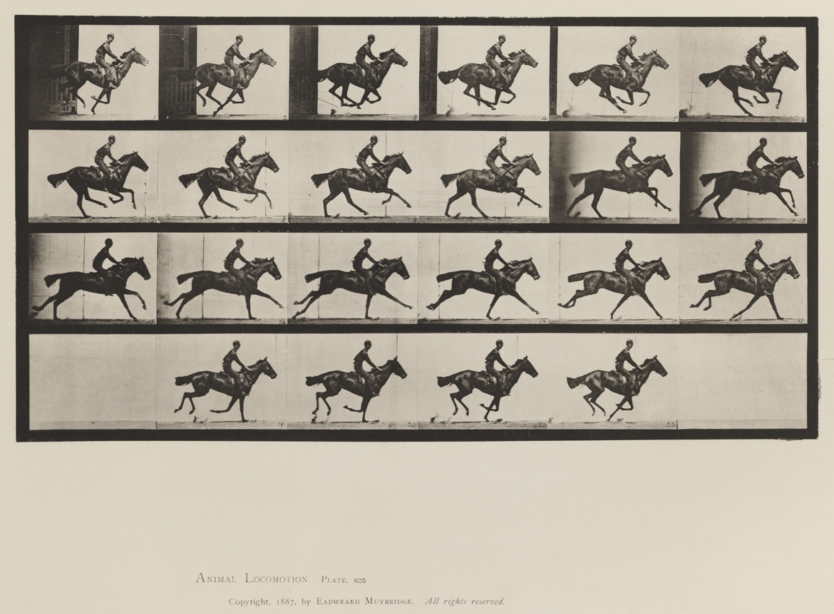 Animal Locomotion, Volume XII, Miscellaneous. Plate 625
