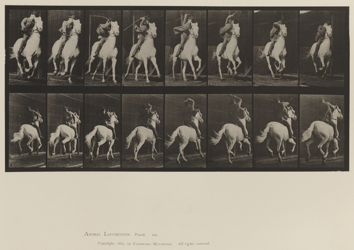 Animal Locomotion, Volume XII, Miscellaneous. Plate 634