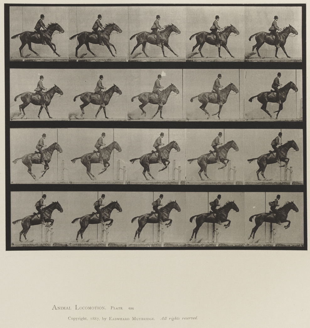 Animal Locomotion, Volume XII, Miscellaneous. Plate 636