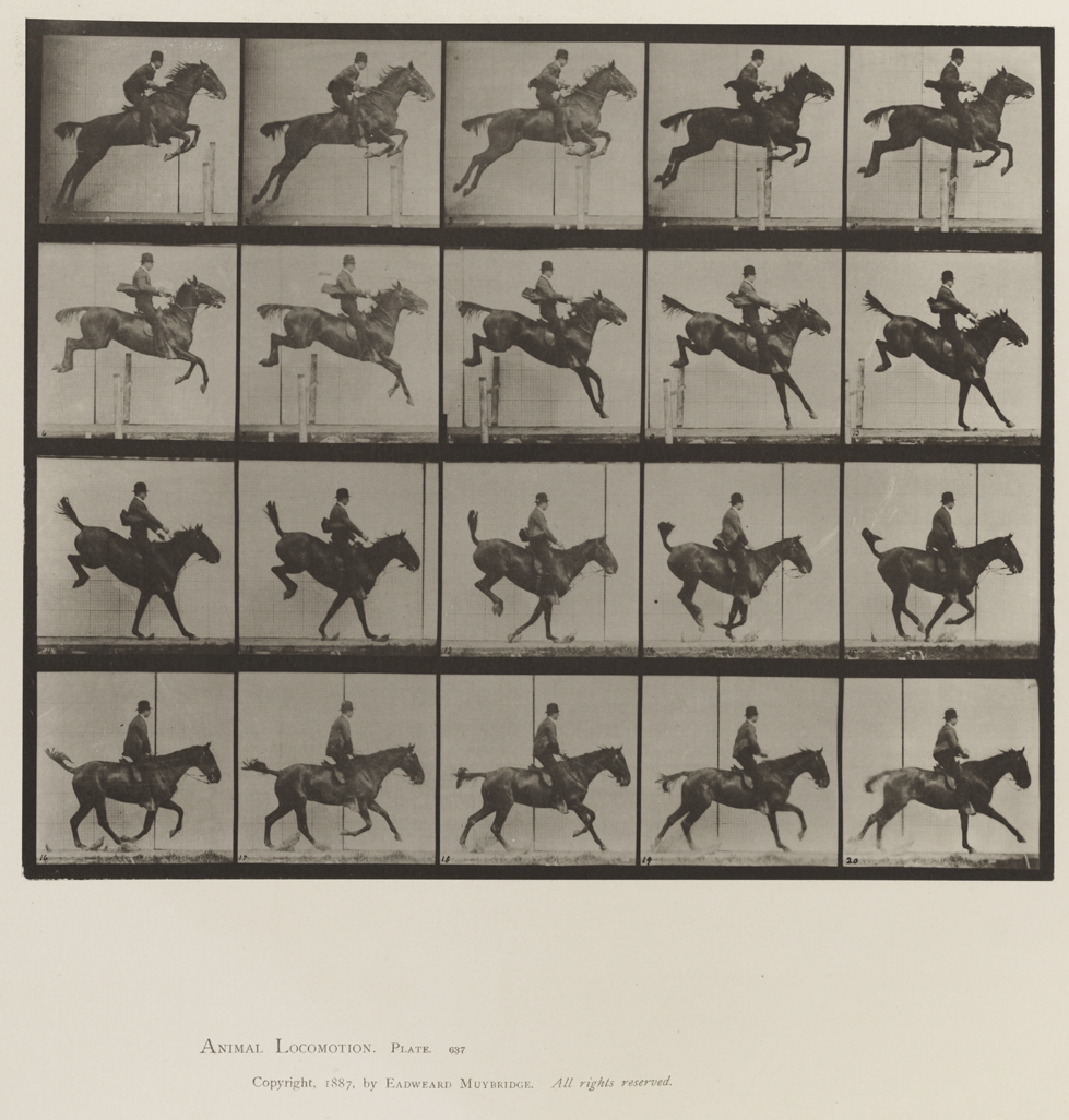 Animal Locomotion, Volume XII, Miscellaneous. Plate 637