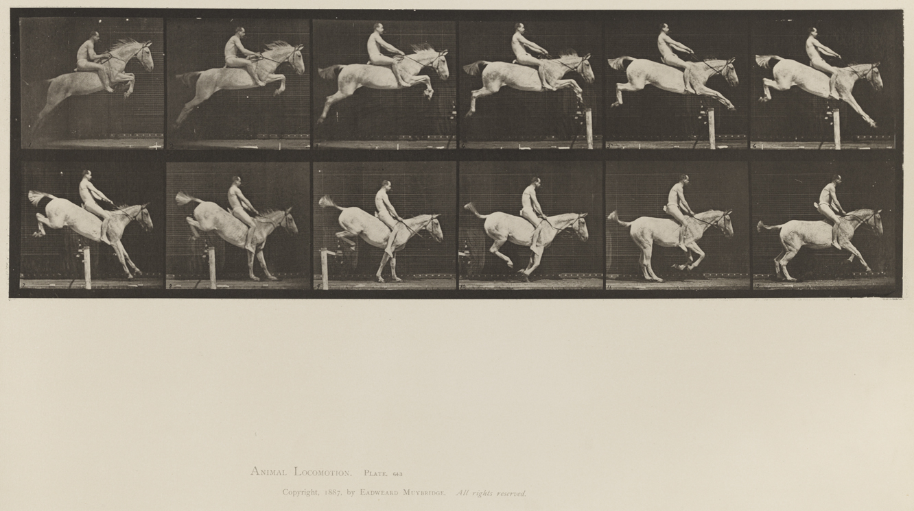 Animal Locomotion, Volume XII, Miscellaneous. Plate 643