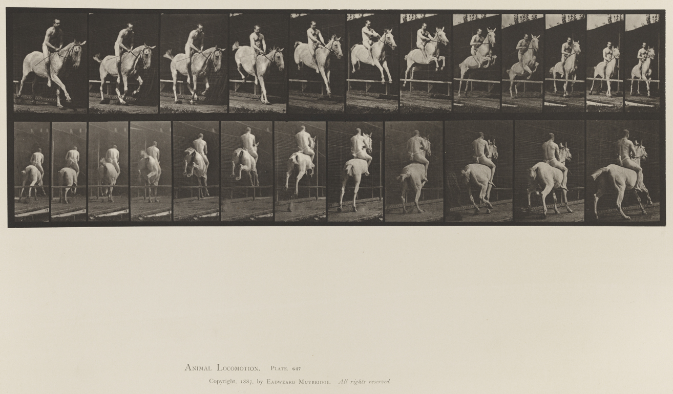 Animal Locomotion, Volume XII, Miscellaneous. Plate 647