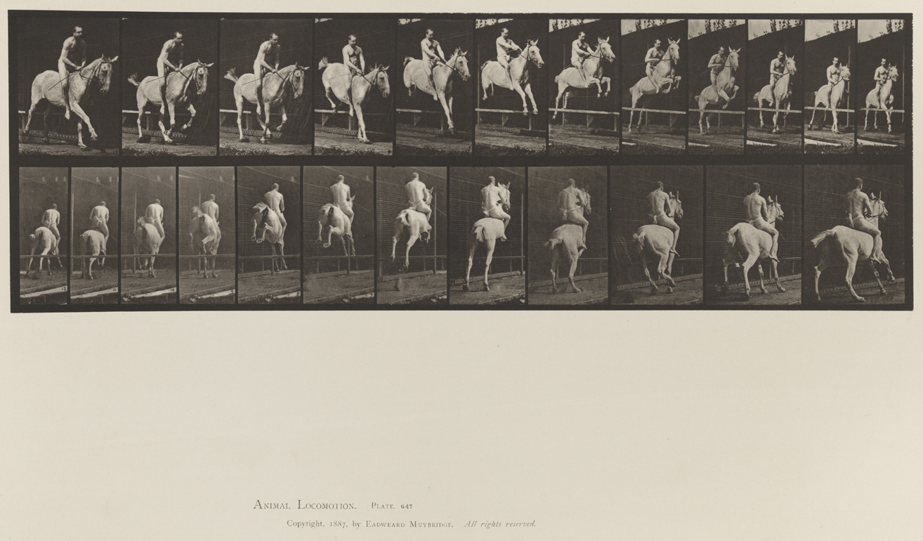 Animal Locomotion, Volume XII, Miscellaneous. Plate 647