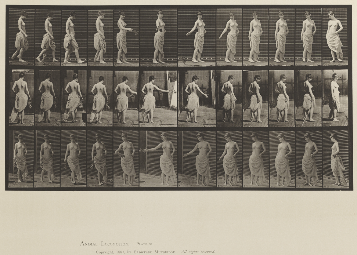 Animal Locomotion, Volume XII, Miscellaneous. Plate 53