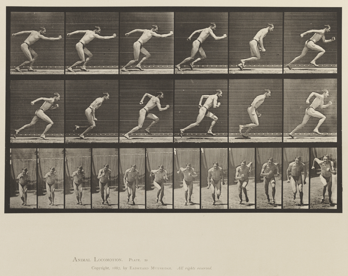 Animal Locomotion, Volume XII, Miscellaneous. Plate 59