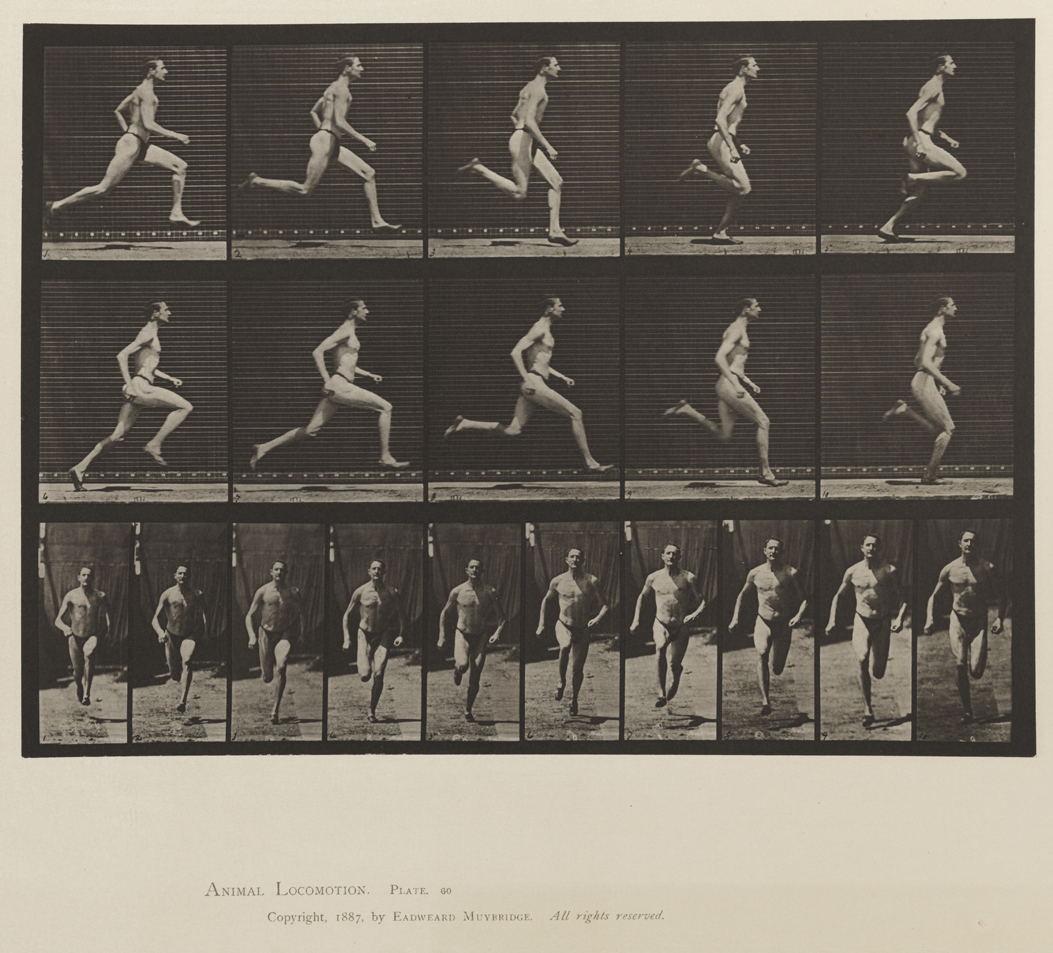 Animal Locomotion, Volume XII, Miscellaneous. Plate 60