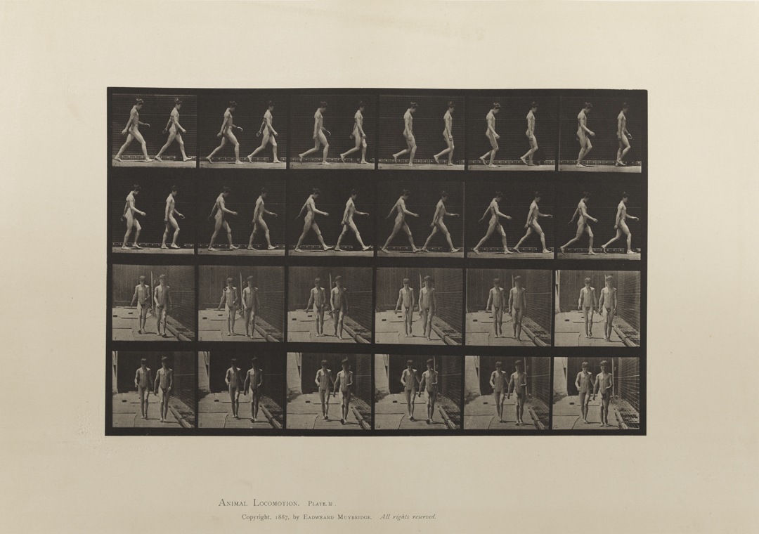 Animal Locomotion, Volume I Men (Nude). Plate 12
