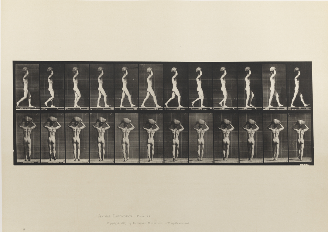 Animal Locomotion, Volume I Men (Nude). Plate 27