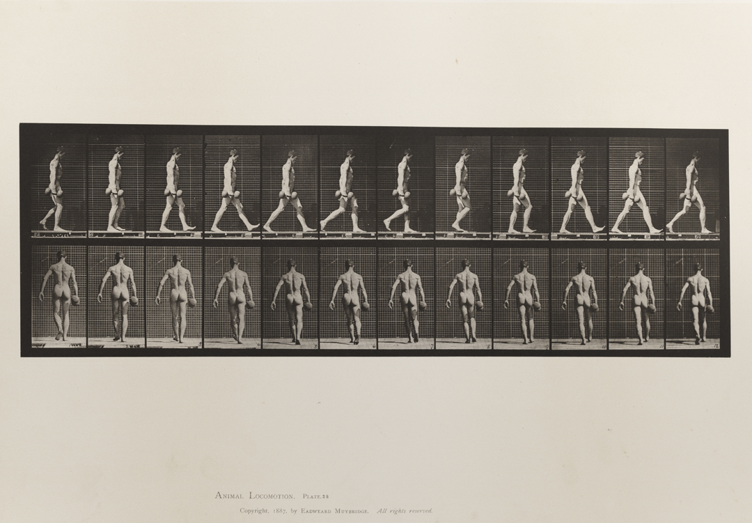 Animal Locomotion, Volume I Men (Nude). Plate 28