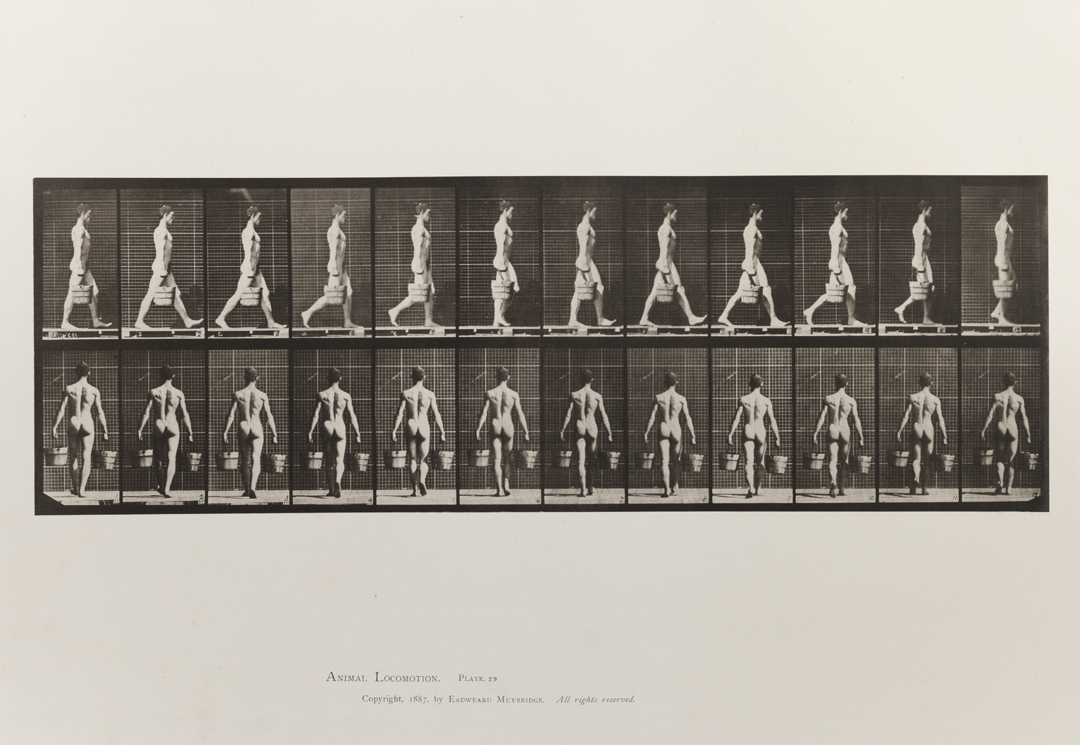 Animal Locomotion, Volume I Men (Nude). Plate 29