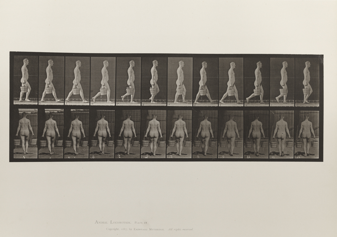 Animal Locomotion, Volume I Men (Nude). Plate 30