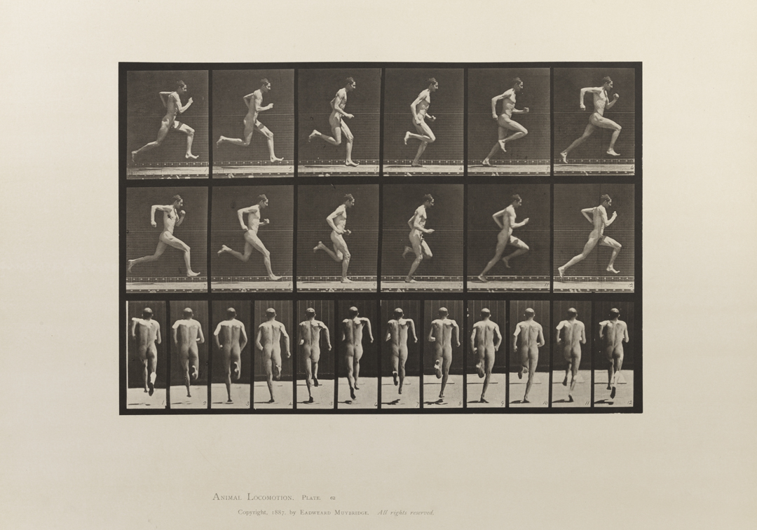 Animal Locomotion, Volume I Men (Nude). Plate 62