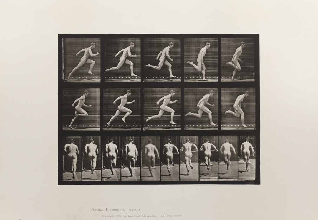 Animal Locomotion, Volume I Men (Nude). Plate 63