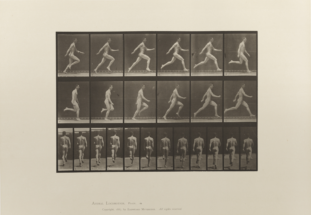 Animal Locomotion, Volume I Men (Nude). Plate 64
