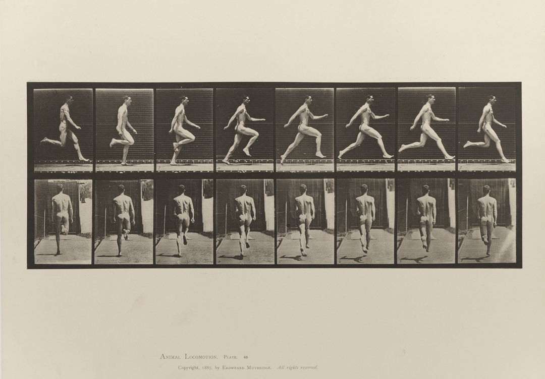 Animal Locomotion, Volume I Men (Nude). Plate 65