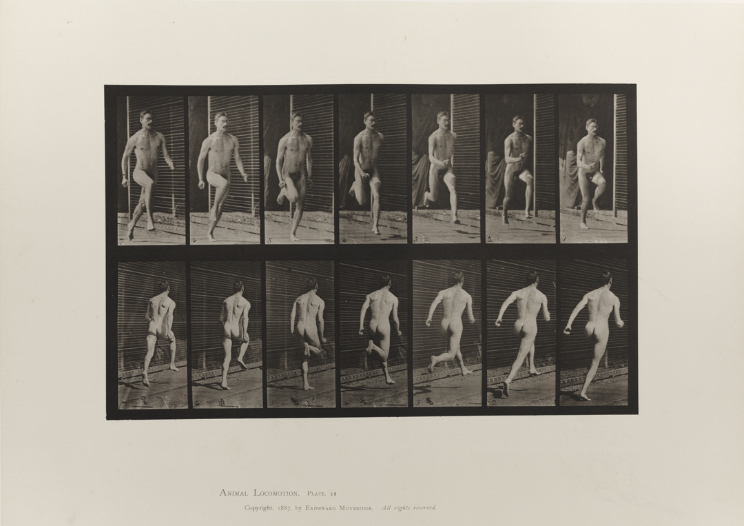 Animal Locomotion, Volume I Men (Nude). Plate 66