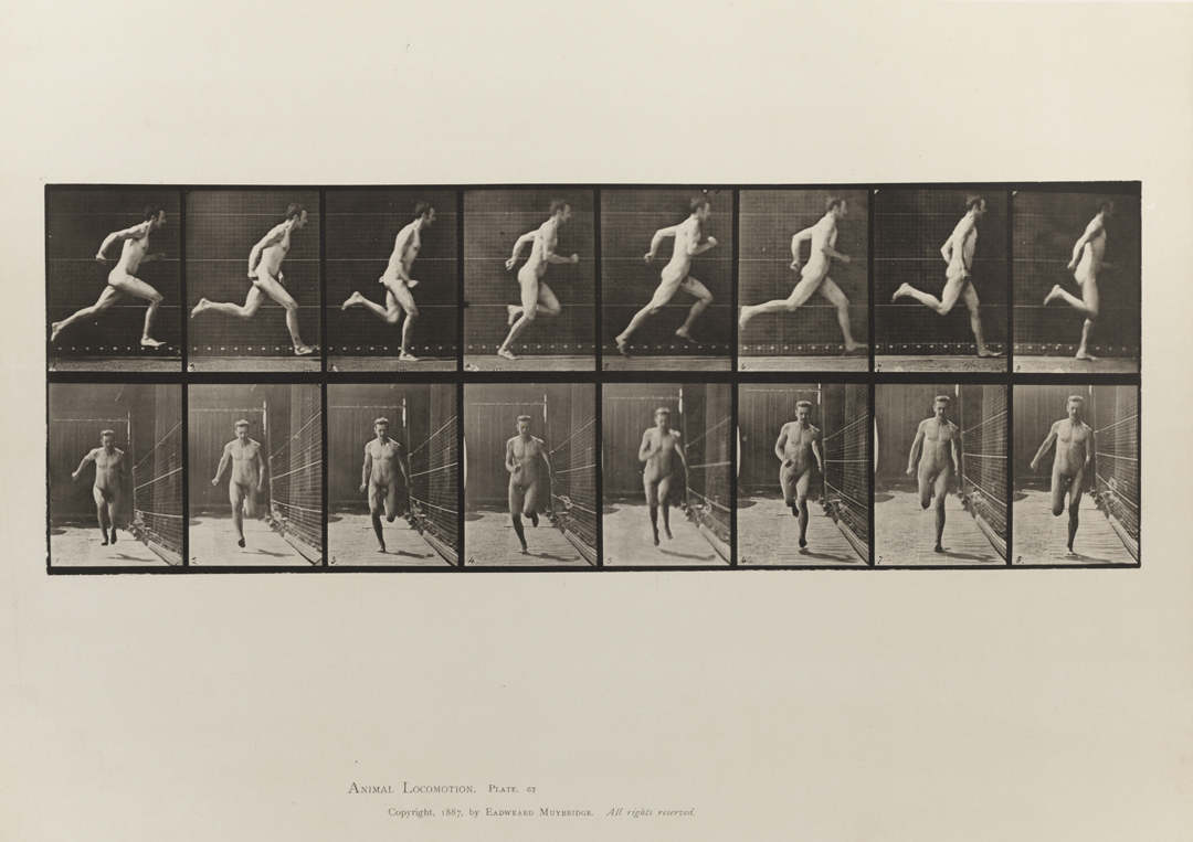 Animal Locomotion, Volume I Men (Nude). Plate 67