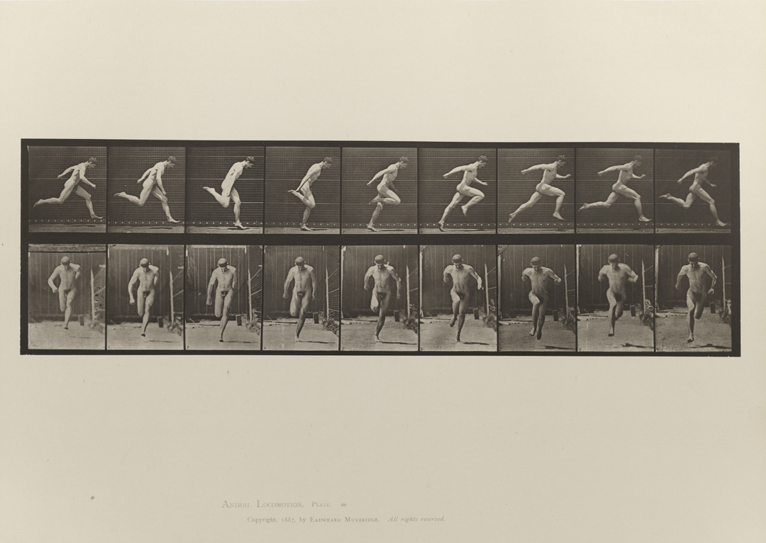 Animal Locomotion, Volume I Men (Nude). Plate 68