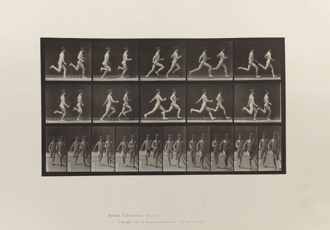 Animal Locomotion, Volume I Men (Nude). Plate 69