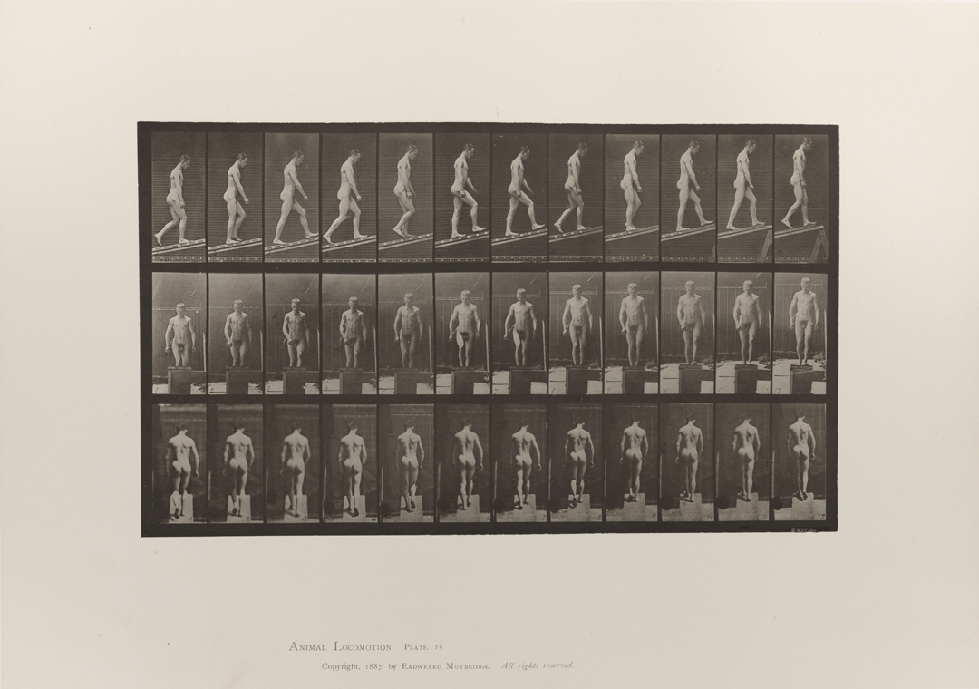 Animal Locomotion, Volume I Men (Nude). Plate 74