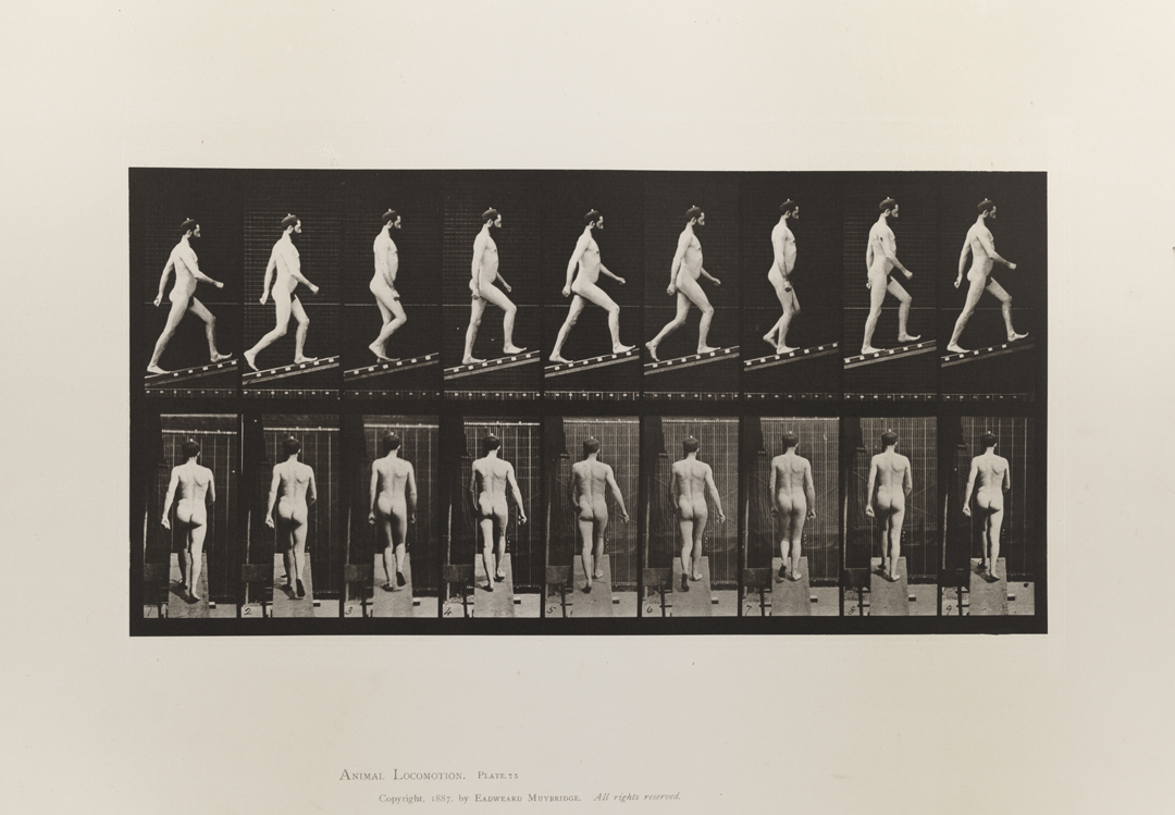 Animal Locomotion, Volume I Men (Nude). Plate 75