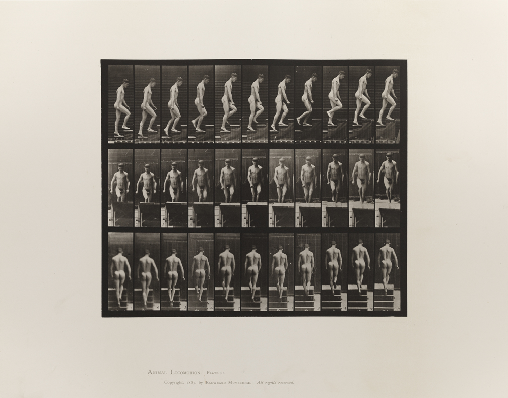 Animal Locomotion, Volume I Men (Nude). Plate 88