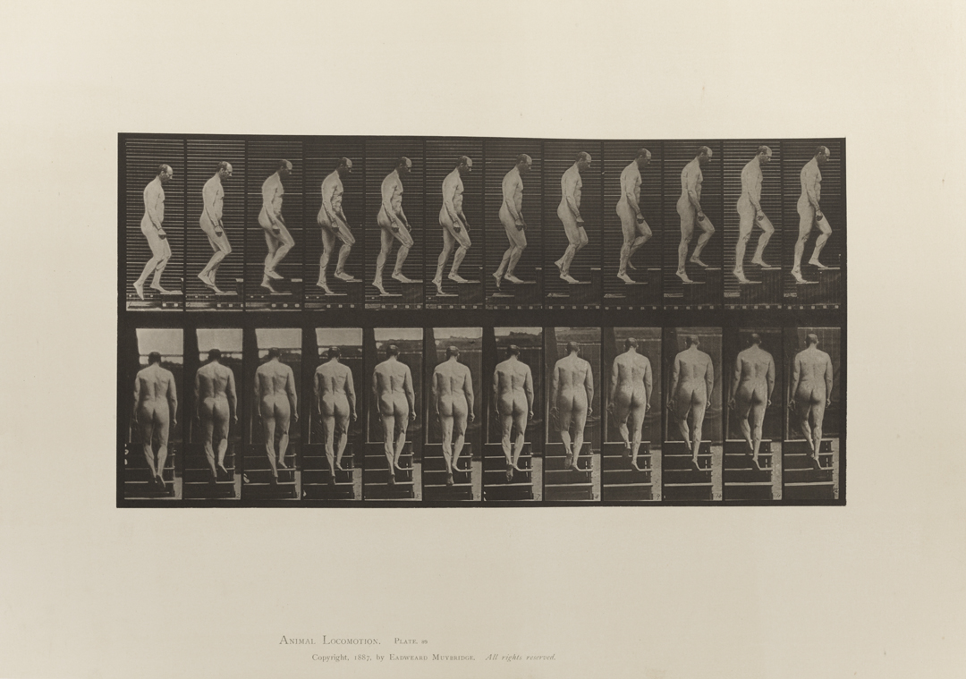 Animal Locomotion, Volume I Men (Nude). Plate 89