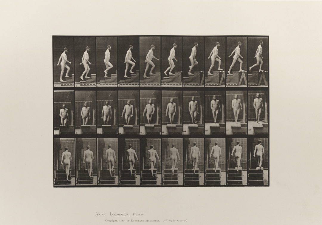 Animal Locomotion, Volume I Men (Nude). Plate 90