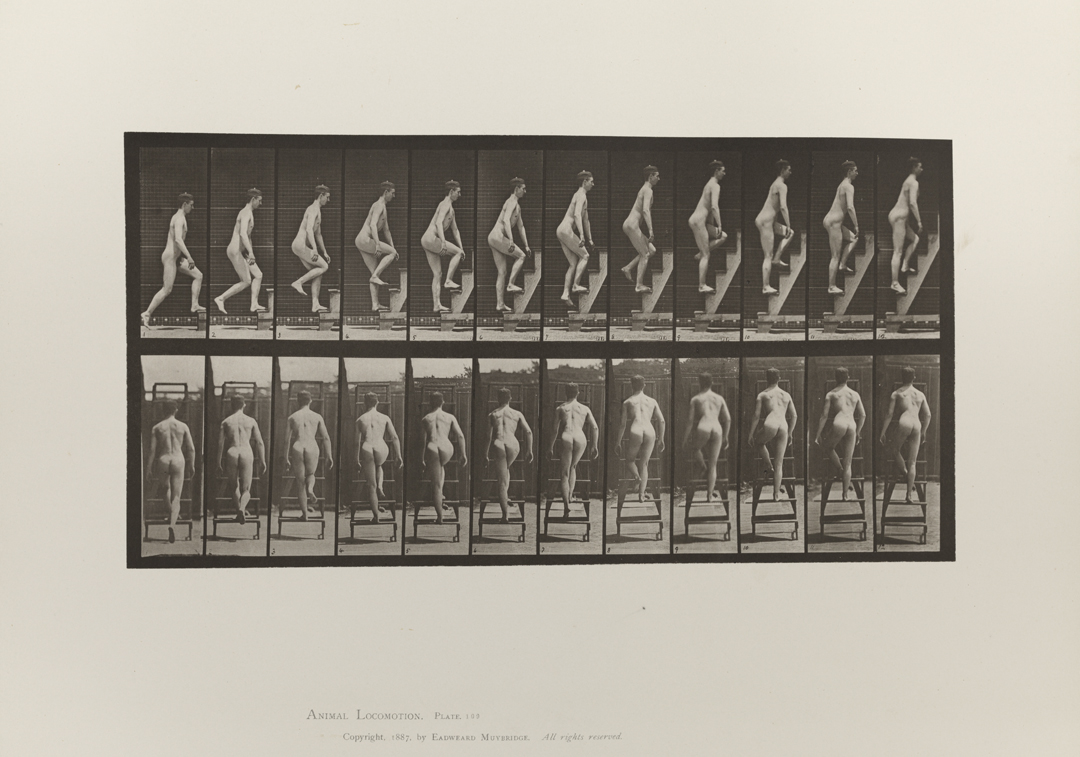 Animal Locomotion, Volume I Men (Nude). Plate 109