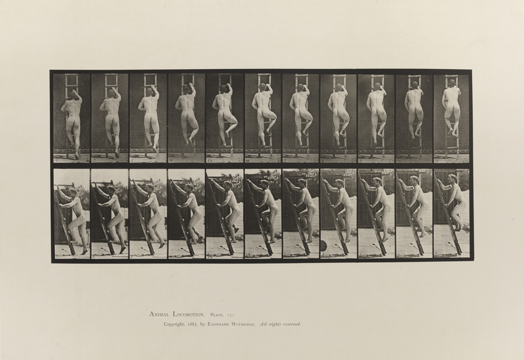 Animal Locomotion, Volume I Men (Nude). Plate 111