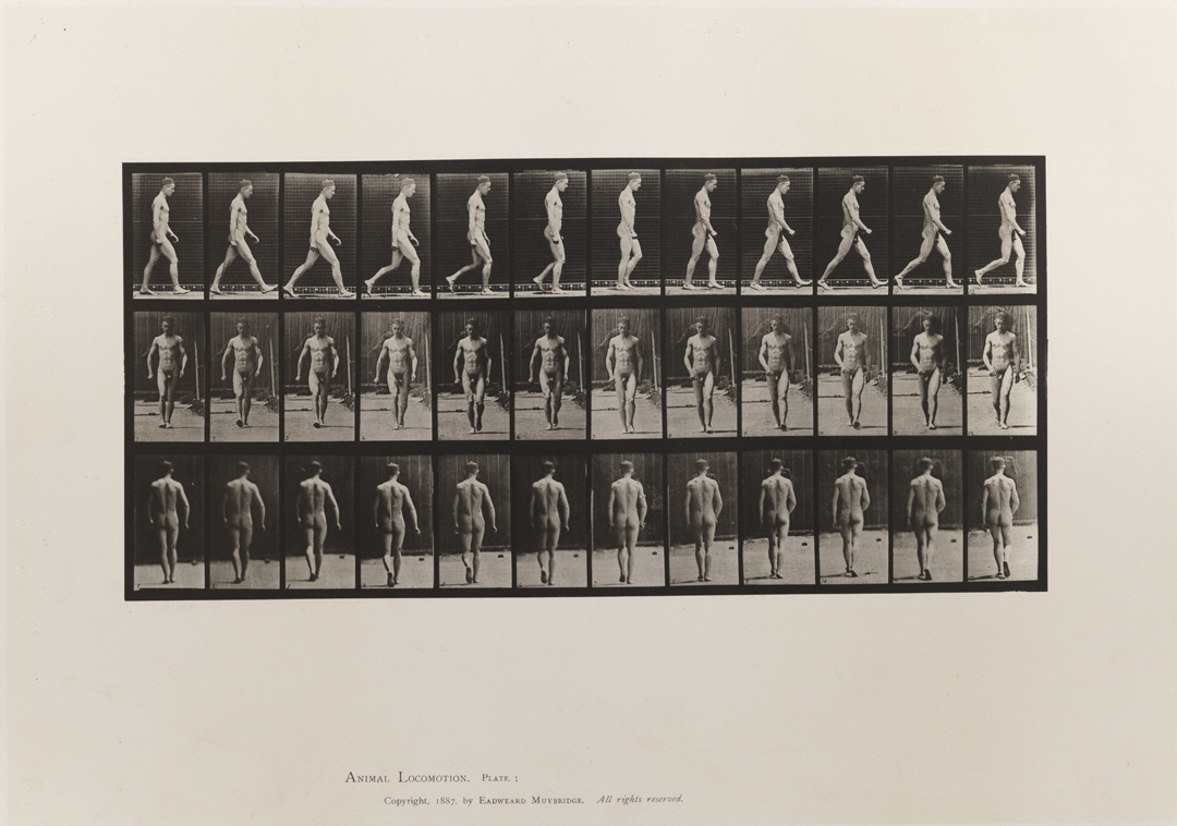 Animal Locomotion, Volume I Men (Nude). Plate 1